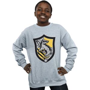 Harry Potter Boy's Hufflepuff Crest Flat Sweatshirt in Grey Size: 7-8 Years Grey 7-8 Years Harry Potter Boy's Hufflepuff Crest Flat Sweatshirt in Grey Size: 7-8 Years Grey 7-8 Years