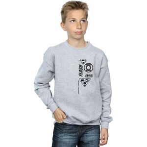 DC Comics Boy's Justice League Chest Icons Sweatshirt in Grey Size: 9 Years Grey 9 Years DC Comics Boy's Justice League Chest Icons Sweatshirt in Grey Size: 9 Years Grey 9 Years