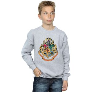 Harry Potter Boy's Hogwarts Crest Gold Ink Sweatshirt in Grey Size: 5-6 Years Grey 5-6 Years Harry Potter Boy's Hogwarts Crest Gold Ink Sweatshirt in Grey Size: 5-6 Years Grey 5-6 Years