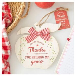 KDMD Thanks for Helping Me Grow Apple Hanging Decoration in White White KDMD Thanks for Helping Me Grow Apple Hanging Decoration in White White