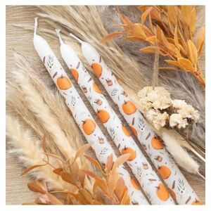 KDMD Set of 3 Pumpkin Taper Candles in White White KDMD Set of 3 Pumpkin Taper Candles in White White