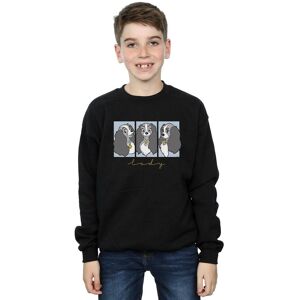 Disney Boy's Lady & The Tramp Lady Frames Sweatshirt in Black Size: 9 Years Black 9 Years Disney Boy's Lady & The Tramp Lady Frames Sweatshirt in Black Size: 9 Years Black 9 Years