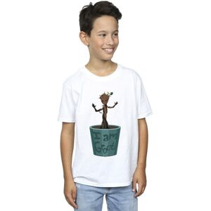 Marvel Boy's Guardians Of The Galaxy Groot Flower Pot T-Shirt in White Size: 9 Years White 9 Years Marvel Boy's Guardians Of The Galaxy Groot Flower Pot T-Shirt in White Size: 9 Years White 9 Years