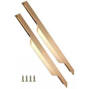 Highdecora Profile Pull Handle for Furniture Wardrobe, Kitchen Cabinet, TV Unit, Drawer (Pack of 2) in Gold Size: Small Gold Small Highdecora Profile Pull Handle for Furniture Wardrobe, Kitchen Cabinet, TV Unit, Drawer (Pack of 2) in Gold Size: Small Gold Small
