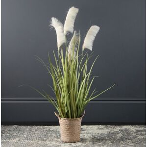 Scottish Everlastings Ltd 100cm Pampas Grass in Natural Basket in Green Green Scottish Everlastings Ltd 100cm Pampas Grass in Natural Basket in Green Green