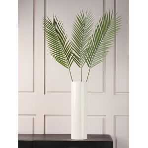 Scottish Everlastings Ltd Pack of 3 Palm Leaf Stems in Green Green Scottish Everlastings Ltd Pack of 3 Palm Leaf Stems in Green Green