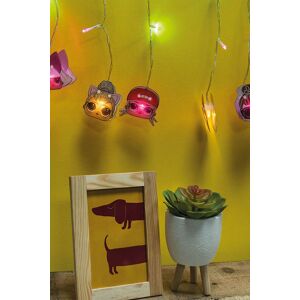 Fizz Creations LOL Curtain String Lights - LED Multicolor Fizz Creations LOL Curtain String Lights - LED Multicolor