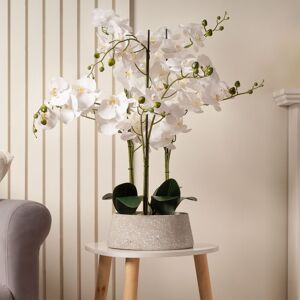 Scottish Everlastings Ltd 66cm Real Touch 3-Stem Orchid in Grey Terrazzo Pot in White White Scottish Everlastings Ltd 66cm Real Touch 3-Stem Orchid in Grey Terrazzo Pot in White White