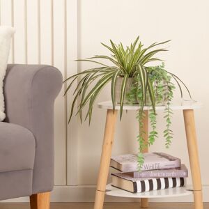 Scottish Everlastings Ltd Set of 2 Plants in Beige Rustic Ribbed Ceramic Pots in Green Green Scottish Everlastings Ltd Set of 2 Plants in Beige Rustic Ribbed Ceramic Pots in Green Green