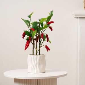 Scottish Everlastings Ltd 49cm Chilli Plant in Ceramic Pot in Green Green Scottish Everlastings Ltd 49cm Chilli Plant in Ceramic Pot in Green Green