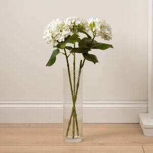 Scottish Everlastings Ltd 64cm Hydrangea Stem Pack 3 in White White Scottish Everlastings Ltd 64cm Hydrangea Stem Pack 3 in White White