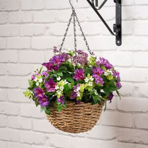 Scottish Everlastings Ltd 58cm Petunia & Star Flower Hanging Basket in Purple Purple Scottish Everlastings Ltd 58cm Petunia & Star Flower Hanging Basket in Purple Purple