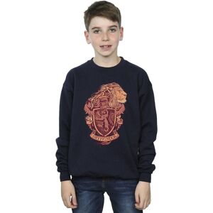 Harry Potter Boy's Gryffindor Sketch Crest Sweatshirt in Navy Size: 3-4 Years Navy 3-4 Years Harry Potter Boy's Gryffindor Sketch Crest Sweatshirt in Navy Size: 3-4 Years Navy 3-4 Years