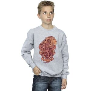 Harry Potter Boy's Gryffindor Sketch Crest Sweatshirt in Grey Size: 3-4 Years Grey 3-4 Years Harry Potter Boy's Gryffindor Sketch Crest Sweatshirt in Grey Size: 3-4 Years Grey 3-4 Years