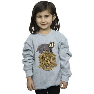 Harry Potter Girl's Hufflepuff Sketch Crest Sweatshirt in Grey Size: 7-8 Years Grey 7-8 Years Harry Potter Girl's Hufflepuff Sketch Crest Sweatshirt in Grey Size: 7-8 Years Grey 7-8 Years