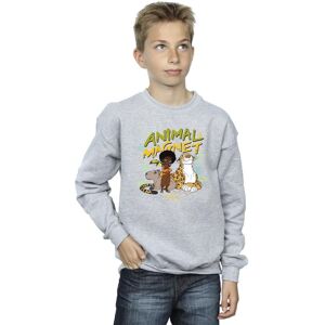 Disney Boy's Encanto Animal Magnet Sweatshirt in Grey Size: 12-13 Years Grey 12-13 Years Disney Boy's Encanto Animal Magnet Sweatshirt in Grey Size: 12-13 Years Grey 12-13 Years
