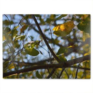 Benjamin Tate Design leaves & branches Designer Glass Chopping Board in Natural Natural Benjamin Tate Design leaves & branches Designer Glass Chopping Board in Natural Natural