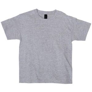 Gildan Softstyle Midweight T-Shirt in Grey Size: Small Grey S Gildan Softstyle Midweight T-Shirt in Grey Size: Small Grey S