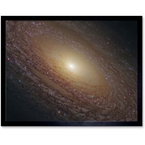 Artery8 Hubble Space Telescope Image Spiral Galaxy NGC 2841 Blue Pink Emission Nebula Starbirth Region & A Majestic Disk Of Stars & Dust Lanes Art Black W12" x H16" Artery8 Hubble Space Telescope Image Spiral Galaxy NGC 2841 Blue Pink Emission Nebula Starbirth Region & A Majestic Disk Of Stars & Dust Lanes Art Black W12" x H16"