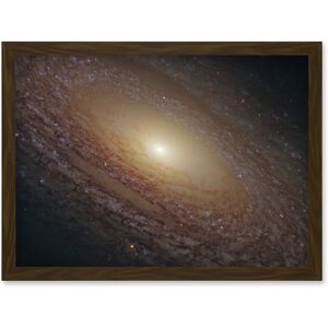 Artery8 Hubble Space Telescope Image Spiral Galaxy NGC 2841 Blue Pink Emission Nebula Starbirth Region & A Majestic Disk Of Stars & Dust Lanes Art Brown W12" x H16" Artery8 Hubble Space Telescope Image Spiral Galaxy NGC 2841 Blue Pink Emission Nebula Starbirth Region & A Majestic Disk Of Stars & Dust Lanes Art Brown W12" x H16"