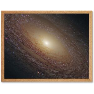 Artery8 Hubble Space Telescope Image Spiral Galaxy NGC 2841 Blue Pink Emission Nebula Starbirth Region & A Majestic Disk Of Stars & Dust Lanes Art Beige W12" x H16" Artery8 Hubble Space Telescope Image Spiral Galaxy NGC 2841 Blue Pink Emission Nebula Starbirth Region & A Majestic Disk Of Stars & Dust Lanes Art Beige W12" x H16"