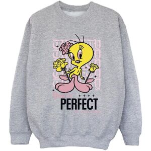 Looney Tunes Girl's You´re Perfect Tweety Sweatshirt in Grey Size: 7-8 Years Grey 7-8 Years Looney Tunes Girl's You´re Perfect Tweety Sweatshirt in Grey Size: 7-8 Years Grey 7-8 Years