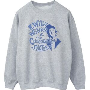 Warner Bros Men's Sweatshirt in Grey Size: Small Grey S Warner Bros Men's Sweatshirt in Grey Size: Small Grey S