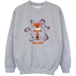 Inside Out Boy's I´m Fine Sweatshirt in Grey Size: 9 Years Grey 9 Years Inside Out Boy's I´m Fine Sweatshirt in Grey Size: 9 Years Grey 9 Years