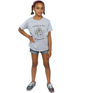 Harry Potter Girl's Waiting For My Letter Hogwarts T-Shirt in Grey Size: 7-8 Years Grey 7-8 Years Harry Potter Girl's Waiting For My Letter Hogwarts T-Shirt in Grey Size: 7-8 Years Grey 7-8 Years