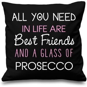 60 SECOND MAKEOVER Black Cushion Cover All You Need In Life Are Best Friends & A Glass Of Prosecco 16" x 16" Mum Friend Gift Decorative C Black 40 cm x 40 cm 60 SECOND MAKEOVER Black Cushion Cover All You Need In Life Are Best Friends & A Glass Of Prosecco 16" x 16" Mum Friend Gift Decorative C Black 40 cm x 40 cm
