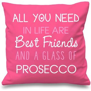 60 SECOND MAKEOVER Pink Cushion Cover All You Need In Life Are Best Friends & A Glass Of Prosecco 16" x 16" Mum Friend Gift Decorative Cu Pink 40 cm x 40 cm 60 SECOND MAKEOVER Pink Cushion Cover All You Need In Life Are Best Friends & A Glass Of Prosecco 16" x 16" Mum Friend Gift Decorative Cu Pink 40 cm x 40 cm
