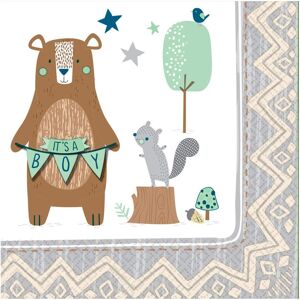 Amscan Bear ly Wait Boy Disposable Napkins (Pack of 12) Multicolor Amscan Bear ly Wait Boy Disposable Napkins (Pack of 12) Multicolor