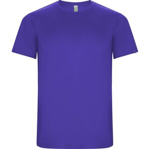 ROLY Men's Imola Short-Sleeved Sports T-Shirt in Mauve Size: XL Mauve XL ROLY Men's Imola Short-Sleeved Sports T-Shirt in Mauve Size: XL Mauve XL