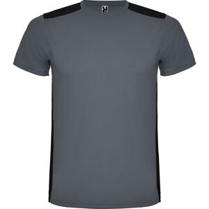 ROLY Detroit Short-Sleeved Sports T-Shirt in Dark Grey Size: Large Dark Grey L ROLY Detroit Short-Sleeved Sports T-Shirt in Dark Grey Size: Large Dark Grey L