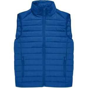 B&C Men's Reset Body Warmer in Blue Size: 3XL Blue 3XL B&C Men's Reset Body Warmer in Blue Size: 3XL Blue 3XL