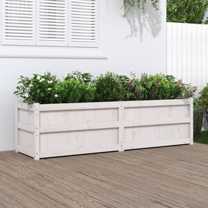Berkfield Home Garden Planter White 180x50x50 cm Solid Wood Pine Size: 180 x 50 x 50 cm White 180 x 50 x 50 cm Berkfield Home Garden Planter White 180x50x50 cm Solid Wood Pine Size: 180 x 50 x 50 cm White 180 x 50 x 50 cm