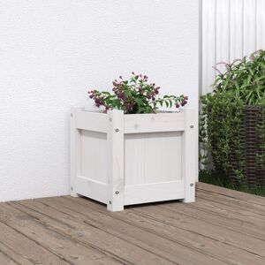 Berkfield Home Garden Planter White 31x31x31 cm Solid Wood Pine Size: 31 x 31 x 31 cm White 31 x 31 x 31 cm Berkfield Home Garden Planter White 31x31x31 cm Solid Wood Pine Size: 31 x 31 x 31 cm White 31 x 31 x 31 cm