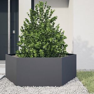 Berkfield Home Garden Planter Anthracite Hexagon 138x120x45 cm Steel in Black Size: 138 x 120 x 45 cm Black 138 x 120 x 45 cm Berkfield Home Garden Planter Anthracite Hexagon 138x120x45 cm Steel in Black Size: 138 x 120 x 45 cm Black 138 x 120 x 45 cm