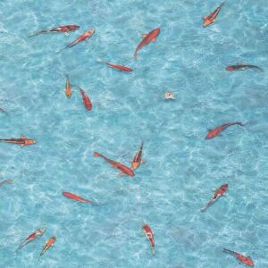 Vinyl Flooring UK 3D Funky Effect Anti Slip 2.5mm Thick Sheet Vinyl Flooring For Home in Blue Size: 4000mm x 7000mm Blue 4000mm x 7000mm Vinyl Flooring UK 3D Funky Effect Anti Slip 2.5mm Thick Sheet Vinyl Flooring For Home in Blue Size: 4000mm x 7000mm Blue 4000mm x 7000mm