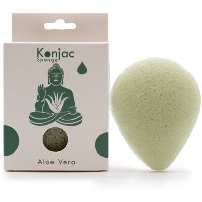 SMART STORE Aloe Vera Facial Konjac Sponge - All Skin Types SMART STORE Aloe Vera Facial Konjac Sponge - All Skin Types