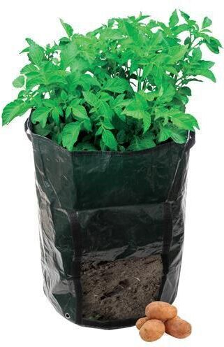 Loops Potato Planting Growing Bag Tough Woven Plastic Home Garden Vegetable Growth