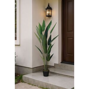 Living and Home 1.6m Artificial 20-Leaf Bird of Paradise Plant in Black Plastic Pot in Green Green Living and Home 1.6m Artificial 20-Leaf Bird of Paradise Plant in Black Plastic Pot in Green Green