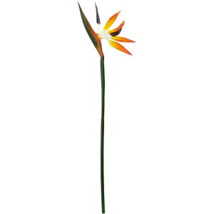 Orsina Bird of Paradise - 92cm, Exotic Faux Flower With Bold Orange & Purple Petals, Adds A Tropical Touch Orange Orsina Bird of Paradise - 92cm, Exotic Faux Flower With Bold Orange & Purple Petals, Adds A Tropical Touch Orange