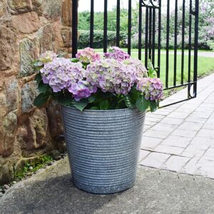 Ivyline Ribbed Galvanised Planter, D37cm in Mid Grey Mid Grey Ivyline Ribbed Galvanised Planter, D37cm in Mid Grey Mid Grey
