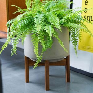 Ivyline Vigo Concrete Grey Planter with Stand, H28cm in Mid Grey Mid Grey Ivyline Vigo Concrete Grey Planter with Stand, H28cm in Mid Grey Mid Grey