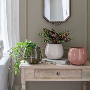 Ivyline Indoor Nova Wax Relief Rose Planter H18cm D23cm hand finished wax relief Rose Ivyline Indoor Nova Wax Relief Rose Planter H18cm D23cm hand finished wax relief Rose