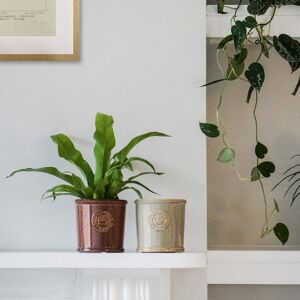 Royal Botanic Gardens Kew Kew Reactive Glaze Ivory Planter H18cm D19cm Ceramic Kew Embossed Logo Premium Quality Ivory Royal Botanic Gardens Kew Kew Reactive Glaze Ivory Planter H18cm D19cm Ceramic Kew Embossed Logo Premium Quality Ivory