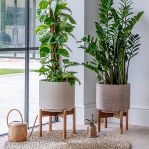 Ivyline Valetta Caramel Speckled Planter with Stand H33cm D24cm in Light Beige Light Beige Ivyline Valetta Caramel Speckled Planter with Stand H33cm D24cm in Light Beige Light Beige