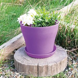 mysmartbuy Plastic Plant Pot - Weatherproof Colourful Home or Garden Planter with Drainage Holes & Saucer in Purple Size: XL Purple XL mysmartbuy Plastic Plant Pot - Weatherproof Colourful Home or Garden Planter with Drainage Holes & Saucer in Purple Size: XL Purple XL