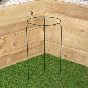 Samuel Alexander Tom Chambers Urban Metal Herbaceous Garden Plant Support Ring Medium 30cm x 50cm in Dark Green Size: 30 cm x 50 cm Dark Green 30 cm x 50 cm Samuel Alexander Tom Chambers Urban Metal Herbaceous Garden Plant Support Ring Medium 30cm x 50cm in Dark Green Size: 30 cm x 50 cm Dark Green 30 cm x 50 cm